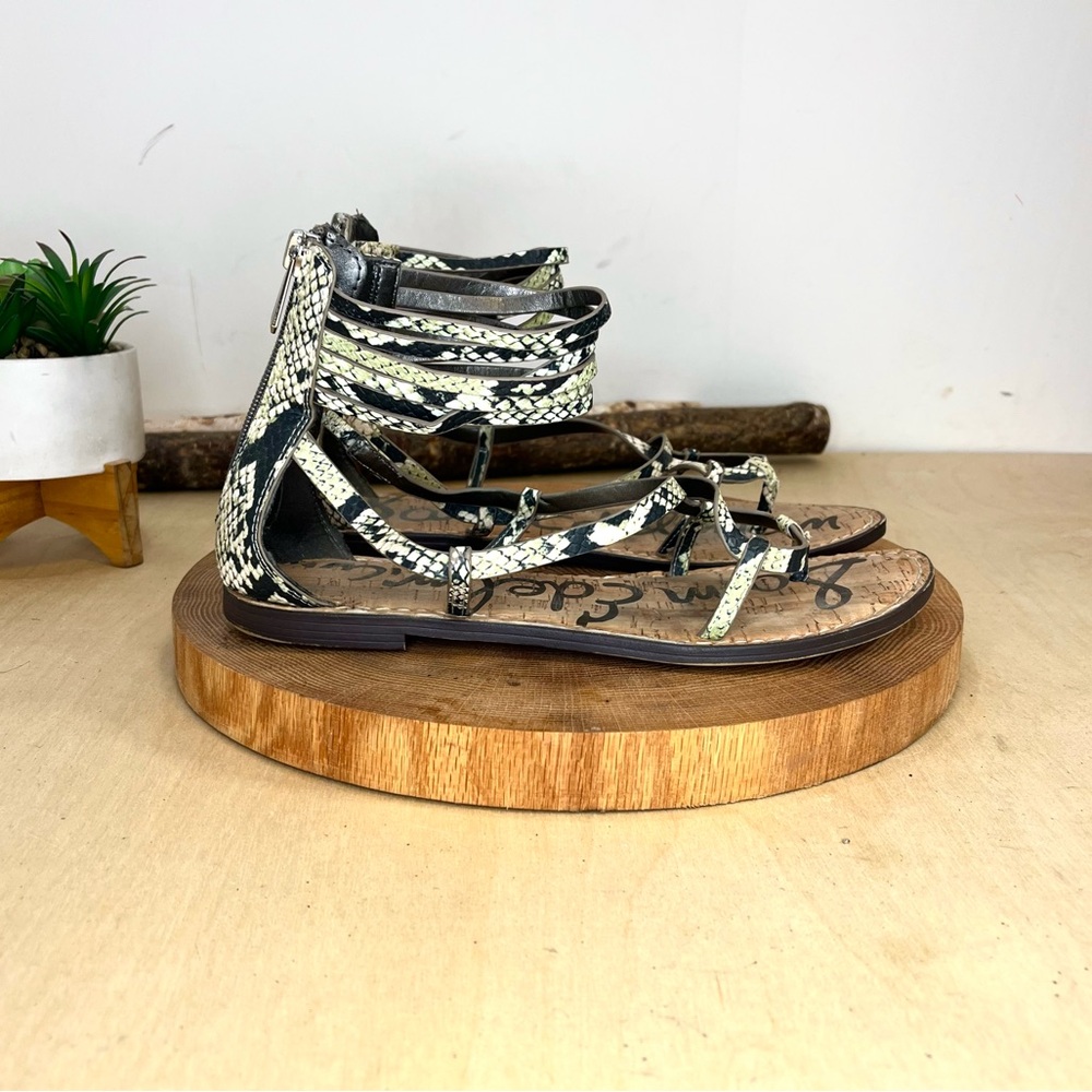 Sam Edelman | Glenda Gladiator Sandals in Faux Leather Snake Print Size 8.5